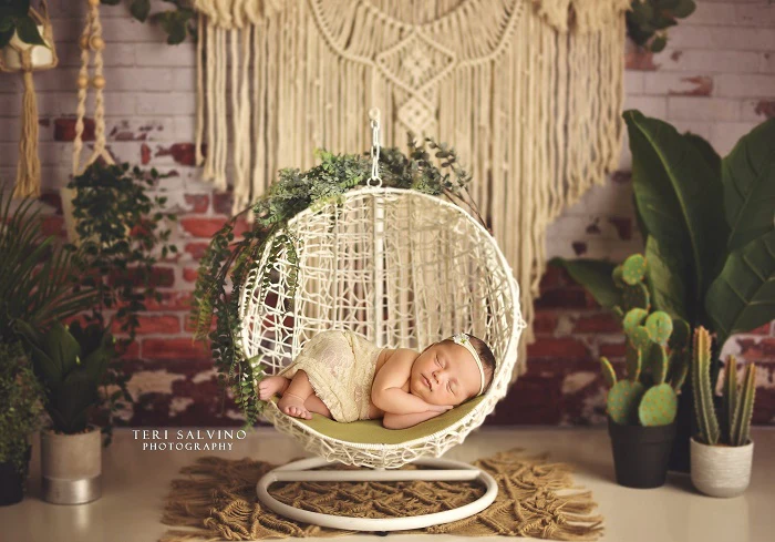 Kate Boho Macrame Wall with Plants Backdrop Designed By Mandy Ringe Photography - Image 3