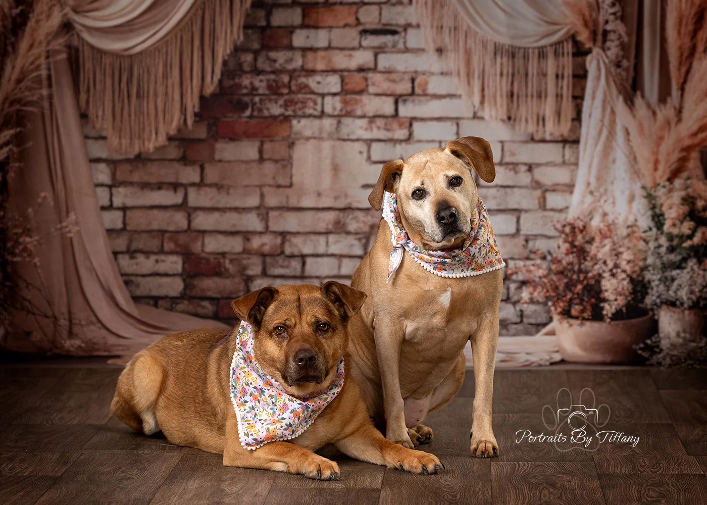 Kate Boho Reed Flower Beige Curtain Brick Wall Backdrop Designed by Emetselch - Image 3