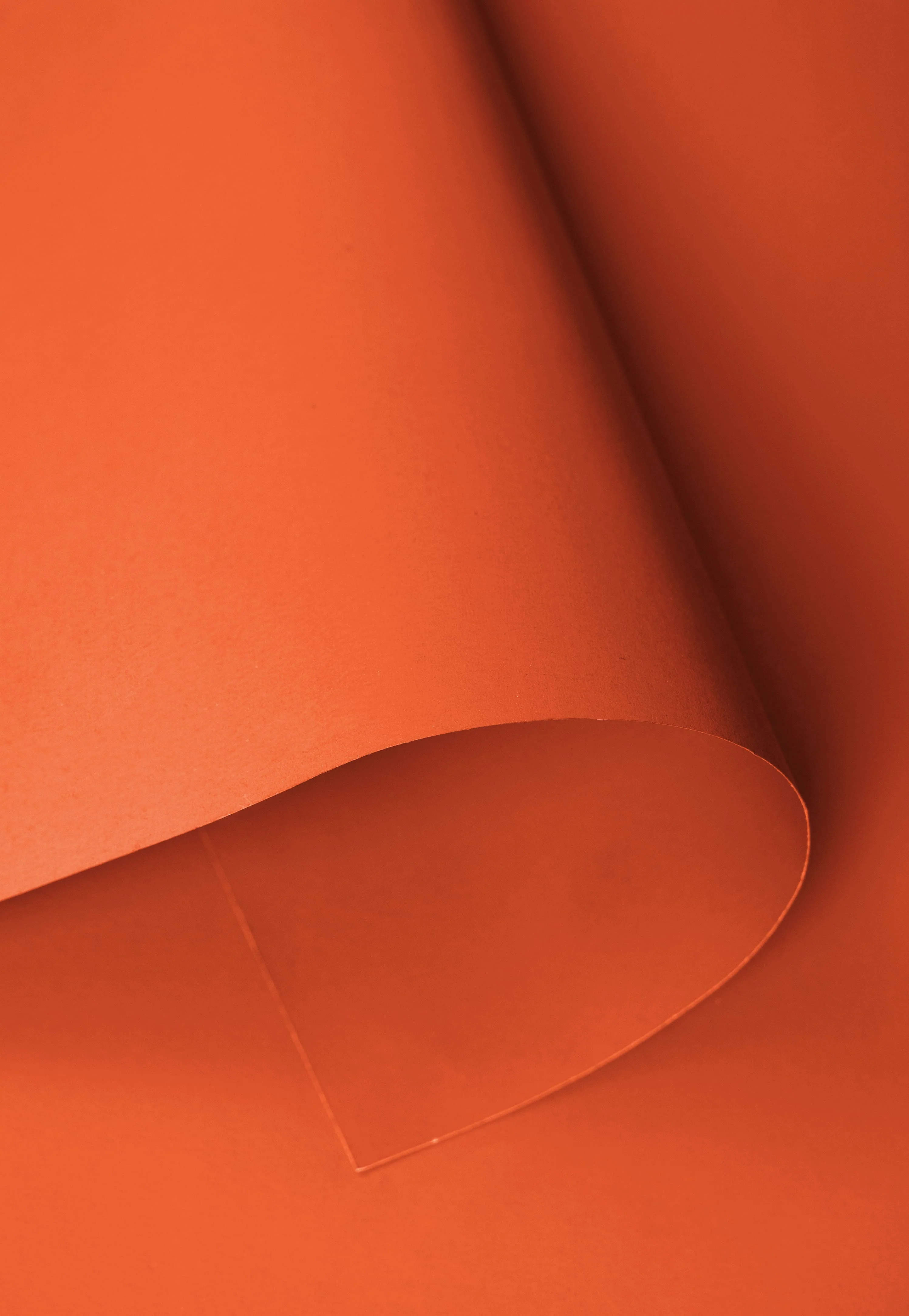 Kate Bright Orange Seamless Paper Backdrop for Photography - Image 5
