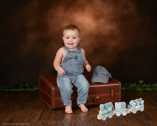 Kate Brown Abstract Texture Old Master Style Backdrop - Image 4