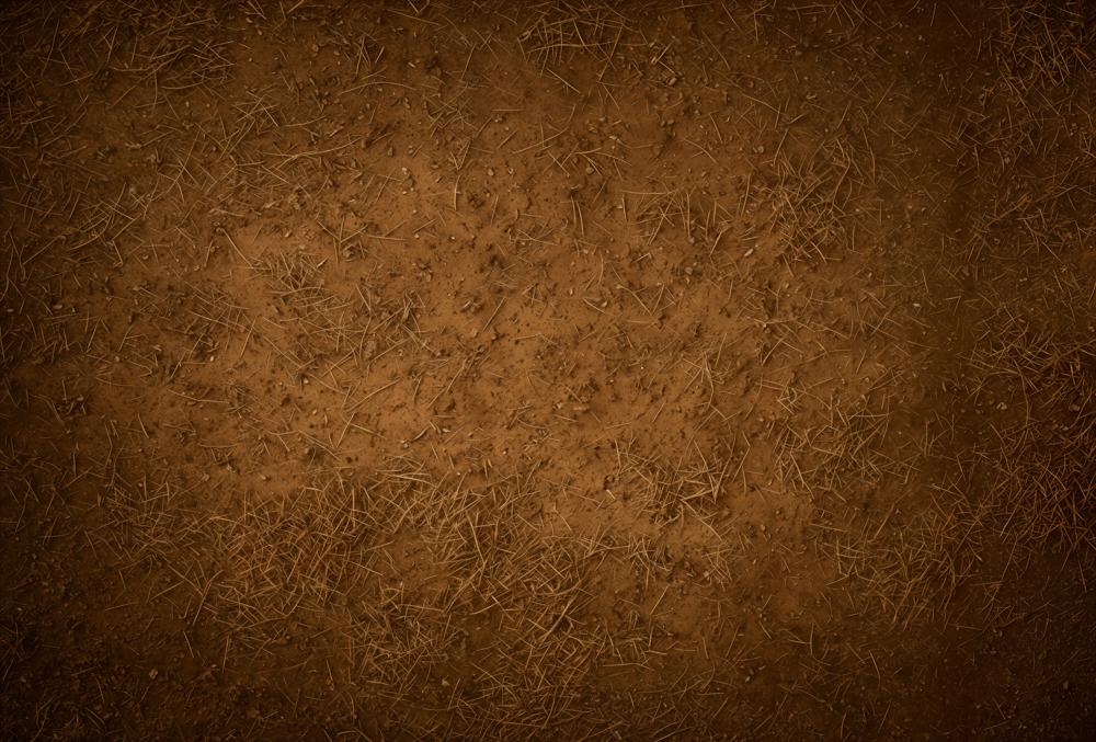 Kate Brown Dirt Ground Texture Fleece Backdrop Designed by Emetselch - Image 2