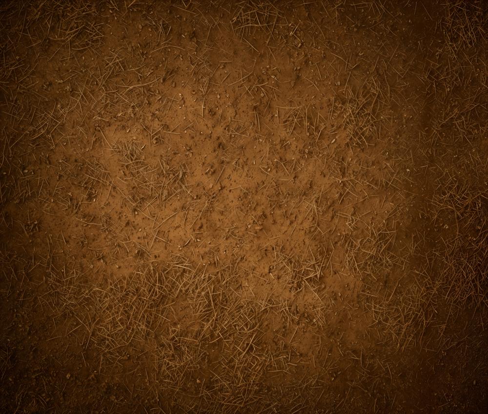 Kate Brown Dirt Ground Texture Fleece Backdrop Designed by Emetselch - Image 3