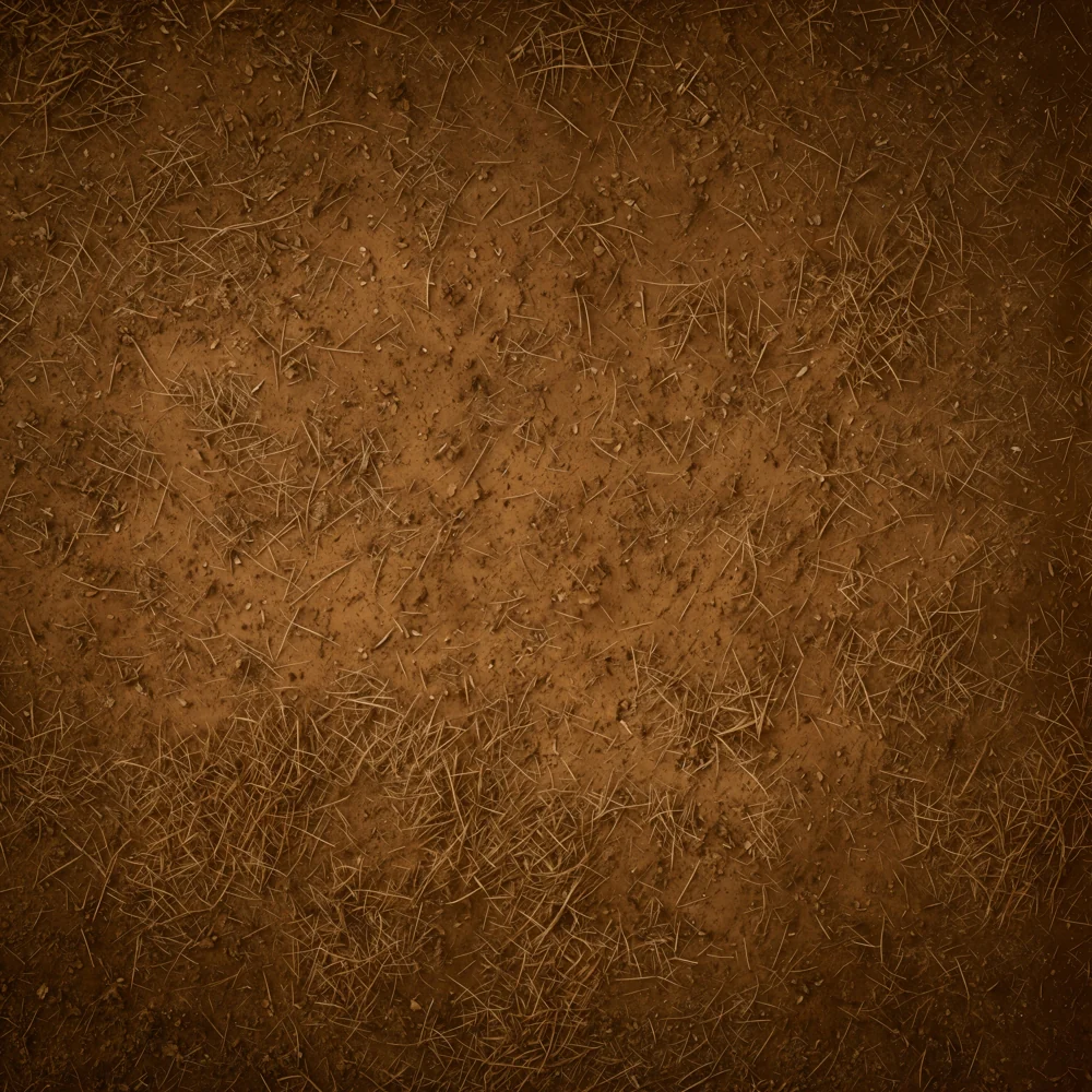 Kate Brown Earthy Dirt Straw Texture Floor Backdrop Designed by Emetselch - Image 2
