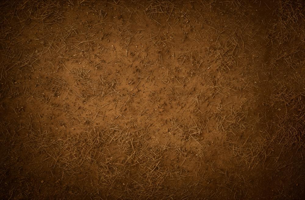 Kate Brown Earthy Dirt Straw Texture Floor Backdrop Designed by Emetselch - Image 4