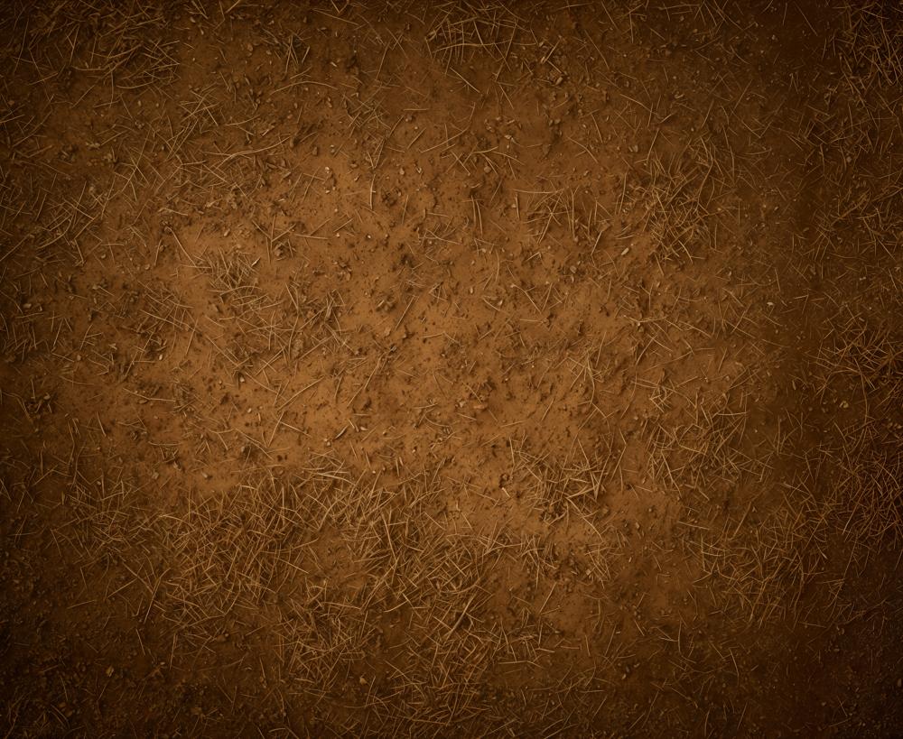 Kate Brown Earthy Dirt Straw Texture Floor Backdrop Designed by Emetselch - Image 6