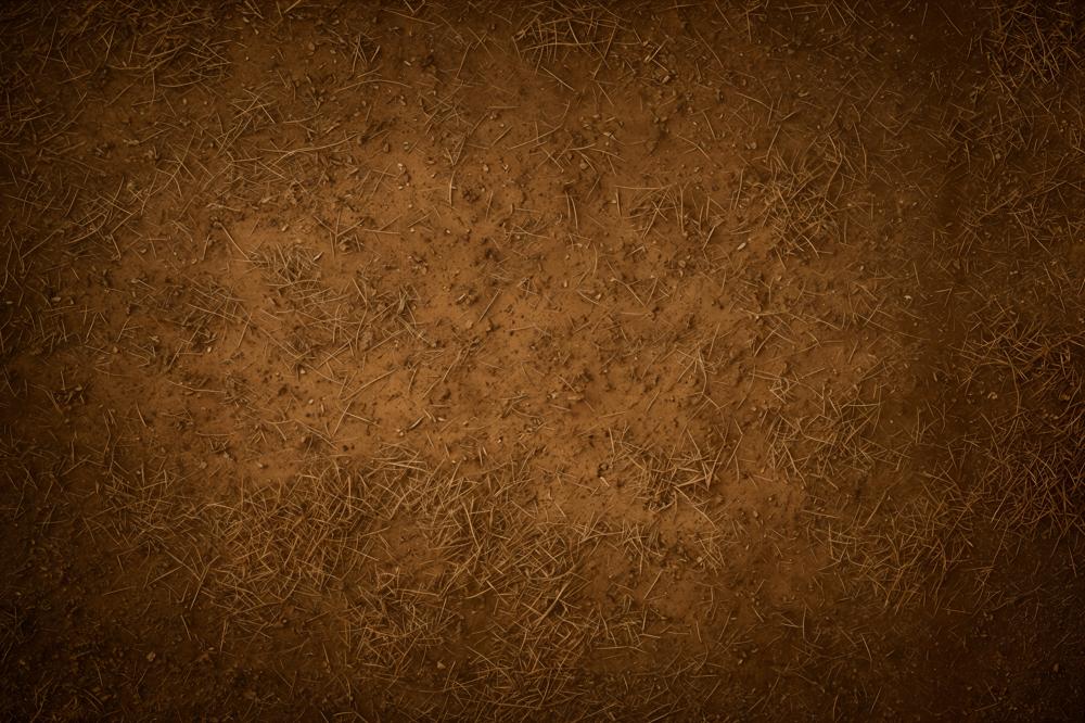 Kate Brown Earthy Dirt Straw Texture Floor Backdrop Designed by Emetselch - Image 8