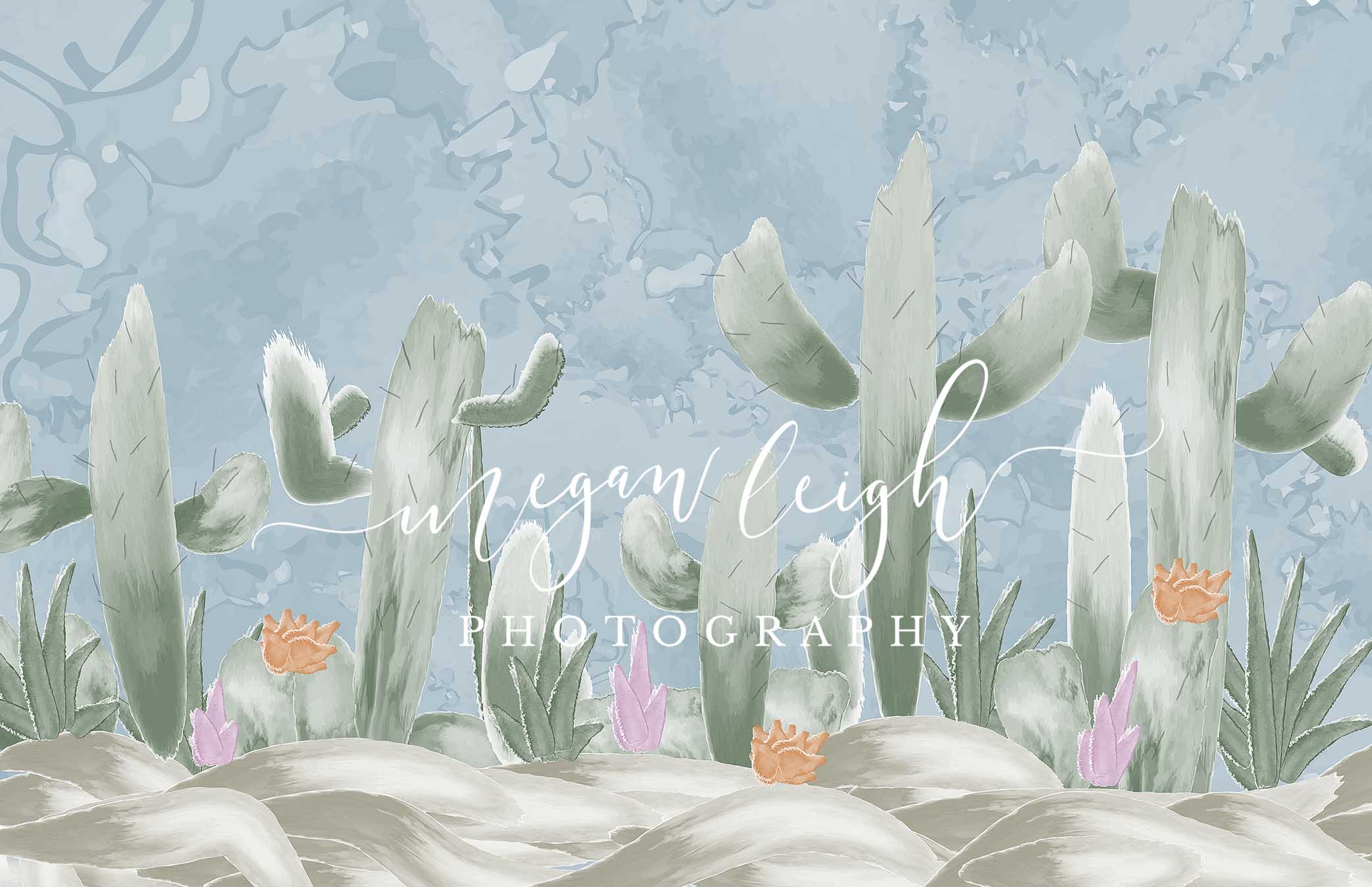 Kate Cactus Spring Children Birthday Backdrop Designed by Megan Leigh Photography - Image 2