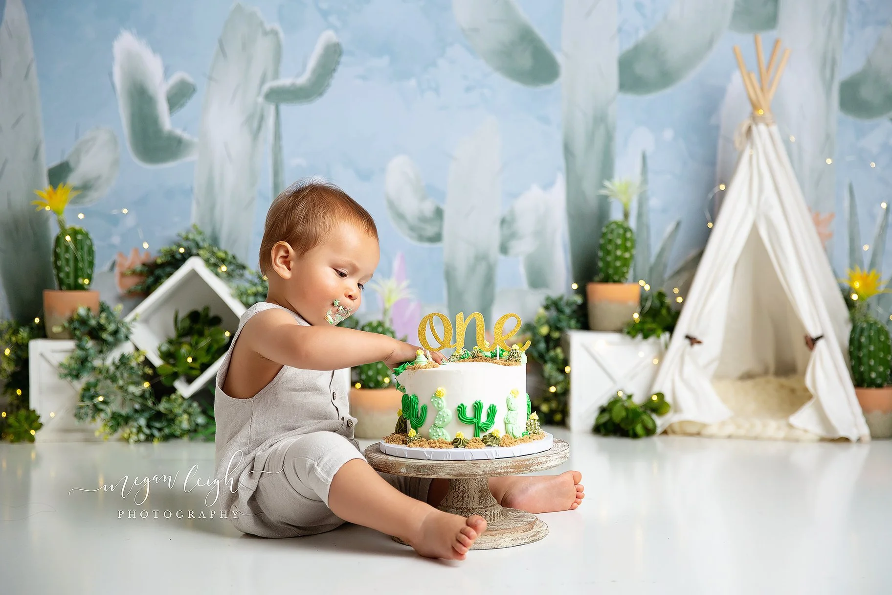 Kate Cactus Spring Children Birthday Backdrop Designed by Megan Leigh Photography - Image 3