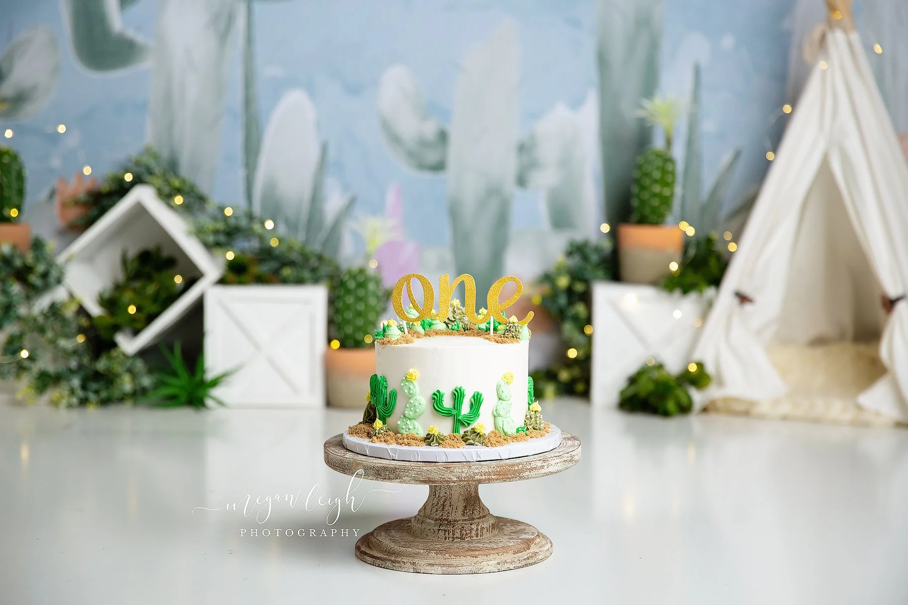 Kate Cactus Spring Children Birthday Backdrop Designed by Megan Leigh Photography - Image 5