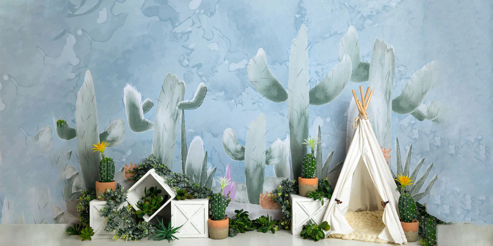 Kate Cactus with Tent Children Backdrop Designed by Megan Leigh Photography - Image 4