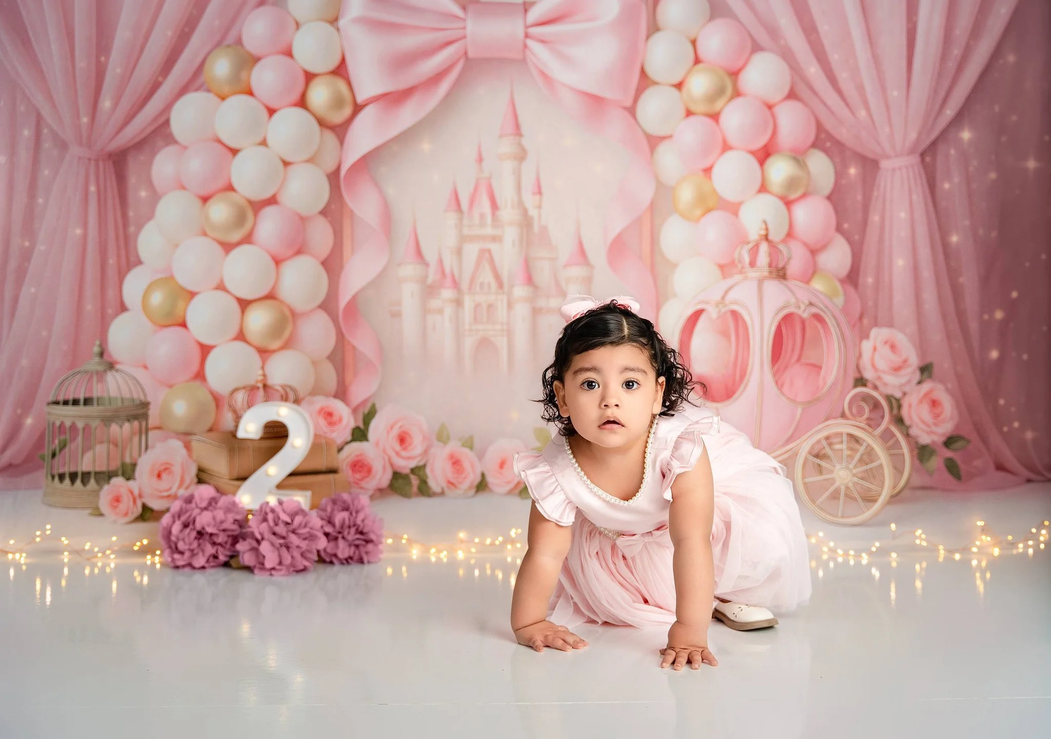 Kate Cake Smash Castle Pink Princess Carriage Backdrop Designed by Ashley Paul - Image 4