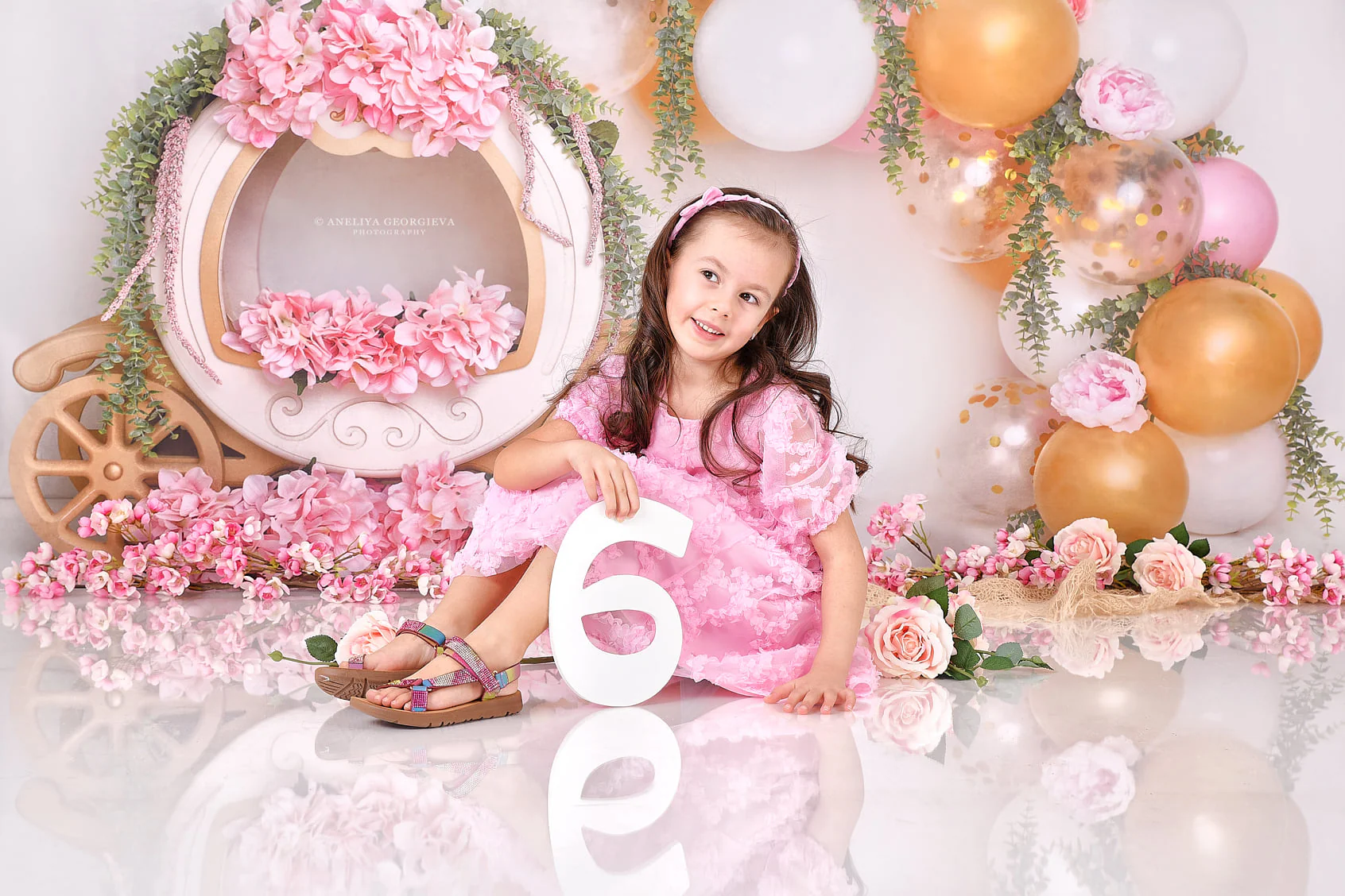 Kate Cake Smash Floral Balloon Carriage Backdrop Designed by Lisa B - Image 3