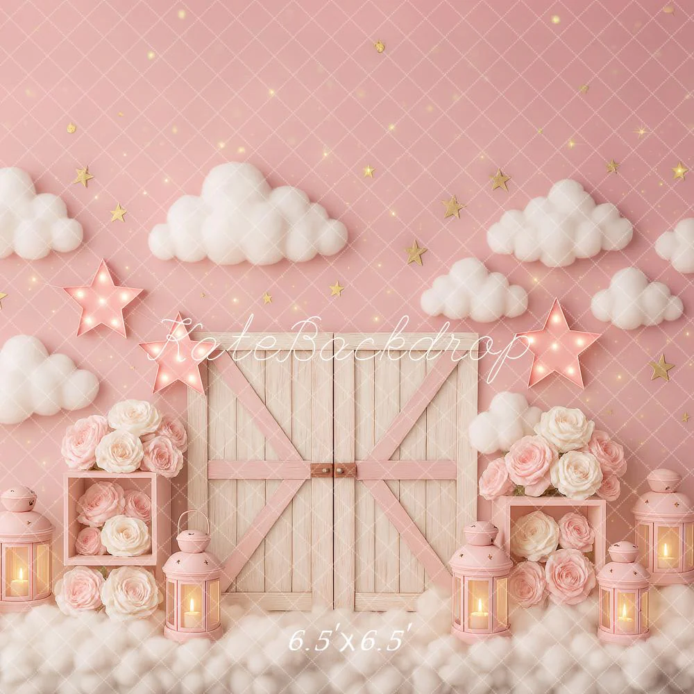 Kate Cake Smash Pink Clouds Barn Door Stars Backdrop Designed by Ashley Paul - Image 2