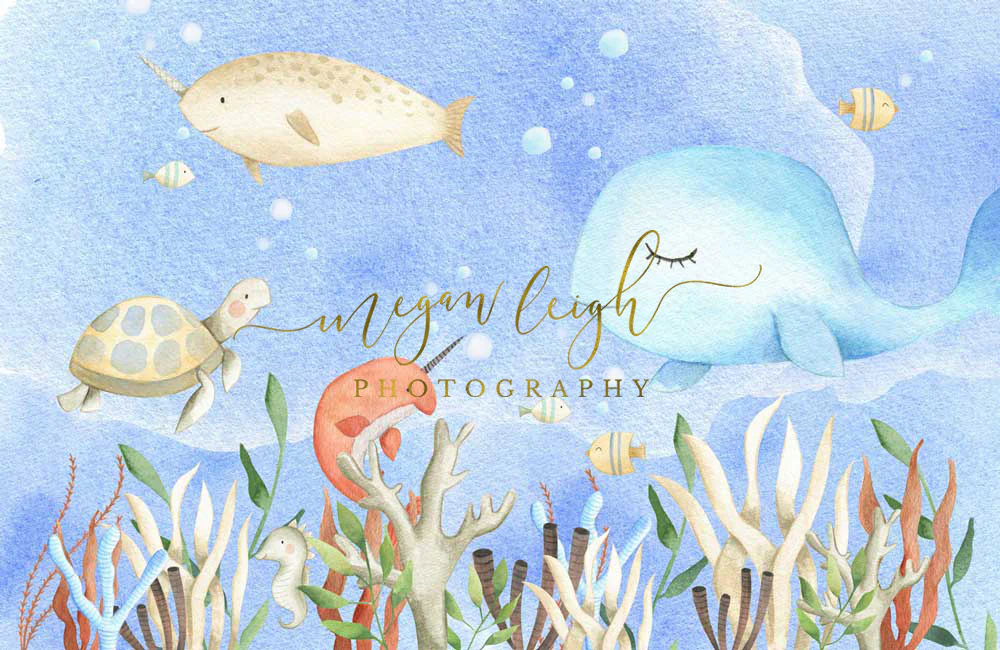 Kate Cake Smash Undersea World Backdrop Designed by Megan Leigh Photography - Image 3