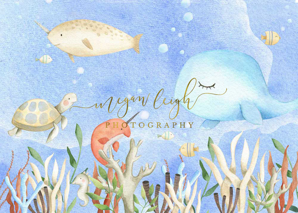 Kate Cake Smash Undersea World Backdrop Designed by Megan Leigh Photography - Image 4