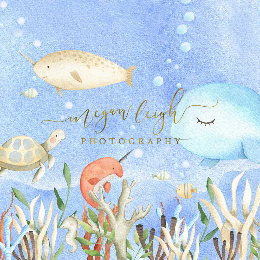 Kate Cake Smash Undersea World Backdrop Designed by Megan Leigh Photography - Image 5