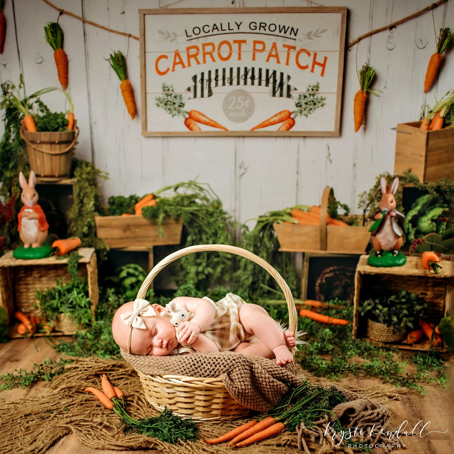 Kate Carrot Patch Easter Backdrop Designed by Megan Leigh Photography - Image 5