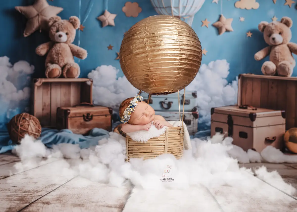 Kate Cartoon Hot Air Balloon Teddy Bear Blue Backdrop Designed by Emetselch - Image 9