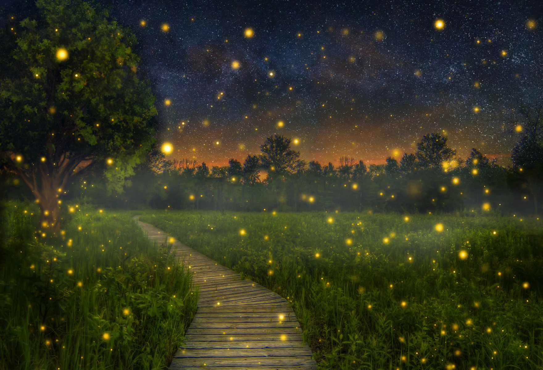 Kate Children Firefly field Backdrop for Photography Designed by Thousand Words Photography - Image 2