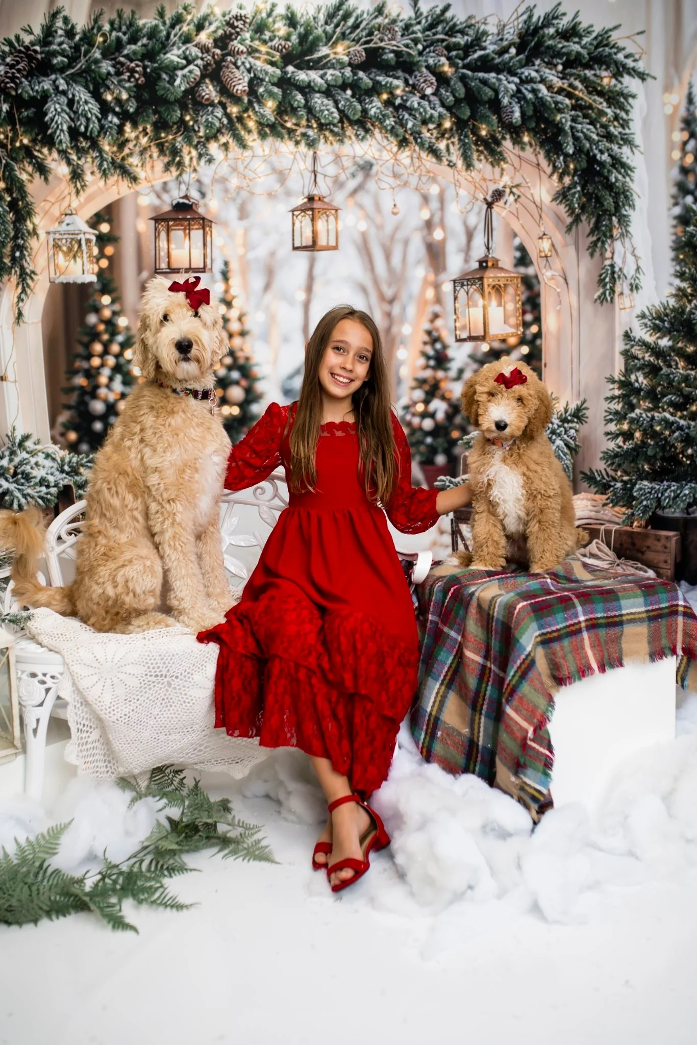 Kate Christmas Arch Garland Snow Trees Backdrop Designed by Emetselch - Image 12