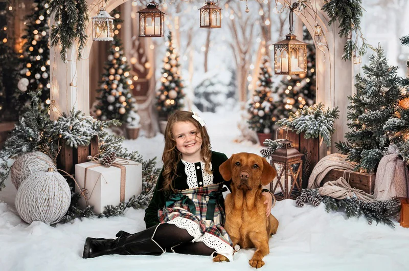 Kate Christmas Arch Garland Snow Trees Backdrop Designed by Emetselch - Image 5