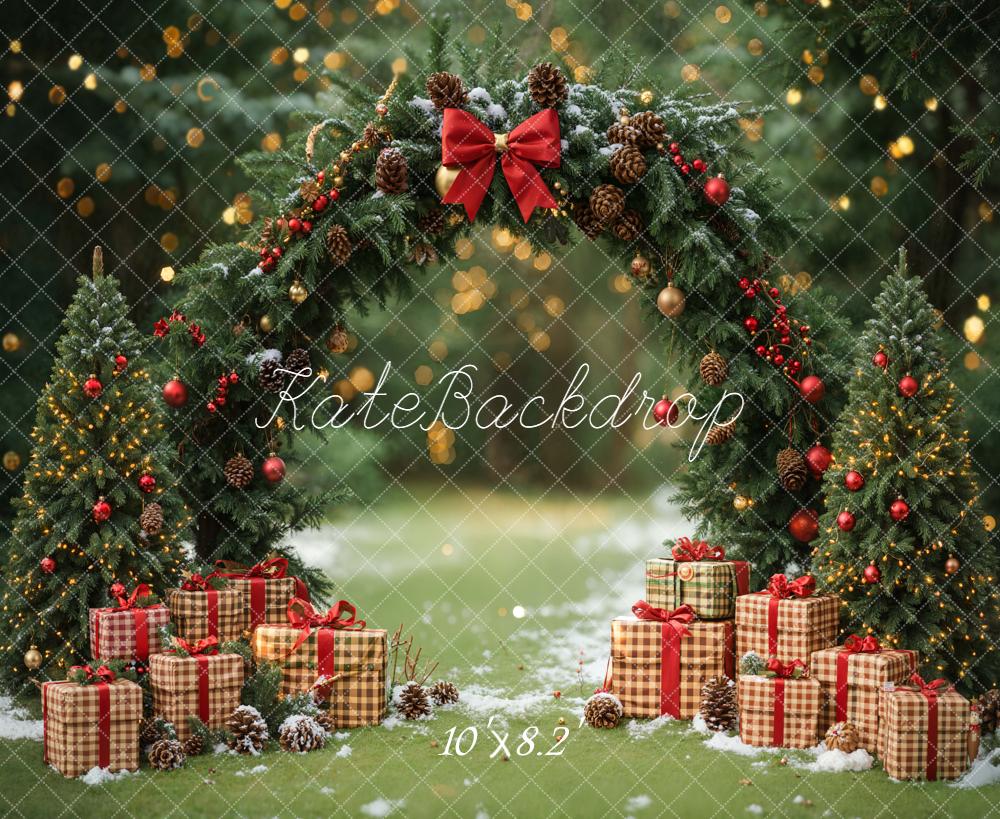 Kate Christmas Arch Gift Boxes Forest Backdrop Designed by Emetselch - Image 8