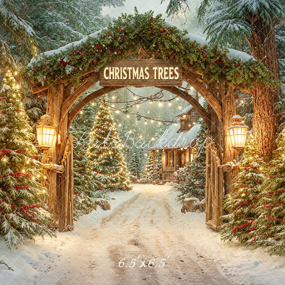 Kate Christmas Arch Snowy Trees Path Backdrop Designed by Emetselch - Image 2