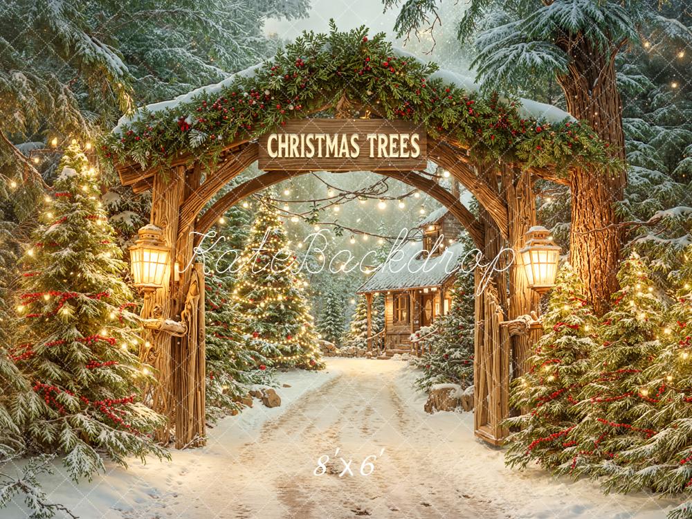 Kate Christmas Arch Snowy Trees Path Backdrop Designed by Emetselch - Image 3