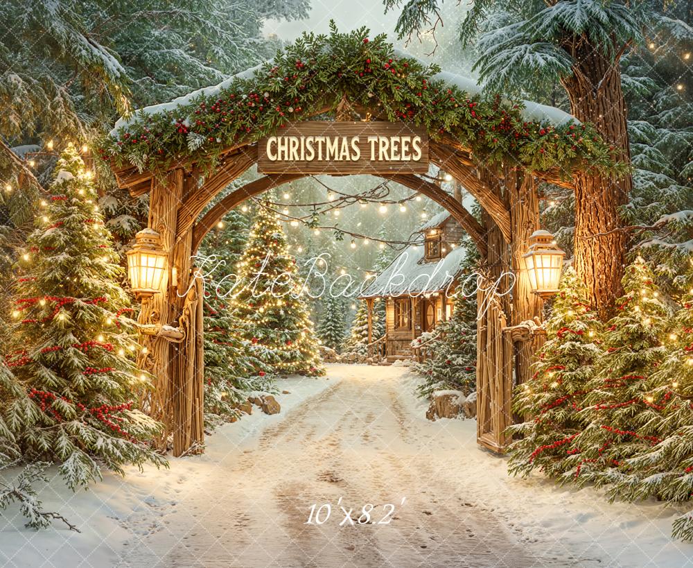 Kate Christmas Arch Snowy Trees Path Backdrop Designed by Emetselch - Image 6