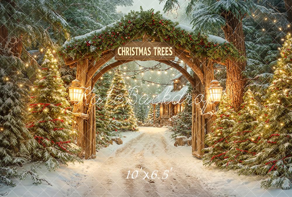 Kate Christmas Archway Snowy Trees Lanterns Fleece Backdrop Designed by Emetselch - Image 2