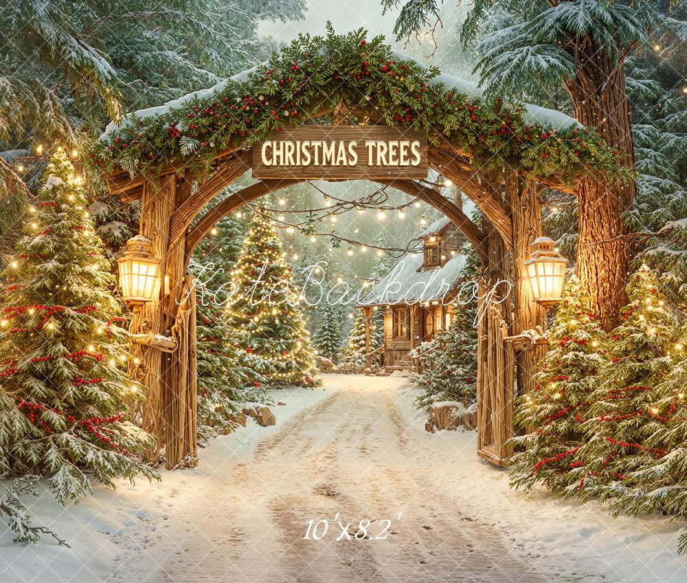 Kate Christmas Archway Snowy Trees Lanterns Fleece Backdrop Designed by Emetselch - Image 3