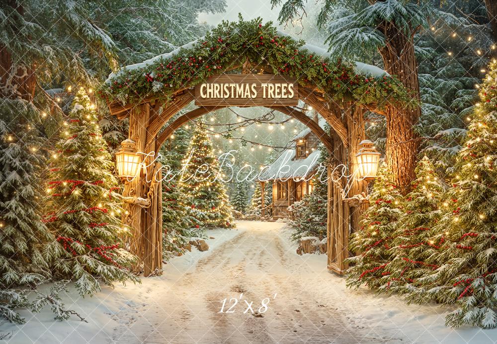 Kate Christmas Archway Snowy Trees Lanterns Fleece Backdrop Designed by Emetselch - Image 4