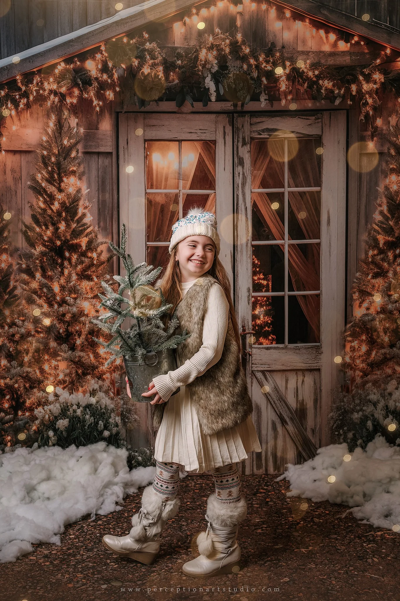 Kate Christmas Barn Backdrop Designed by Emetselch - Image 5