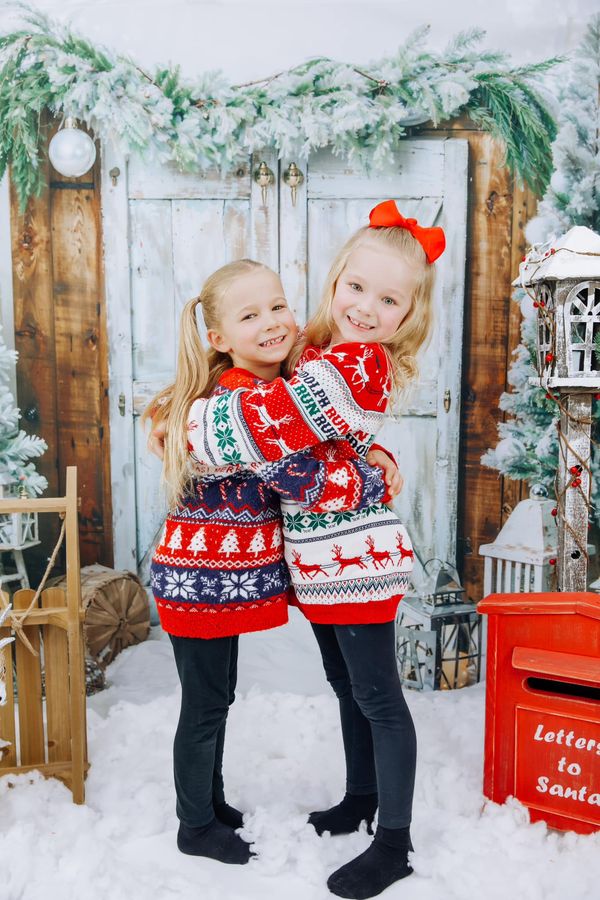 Kate Christmas Barn Door Tree Snow Backdrop Designed by Emetselch - Image 3