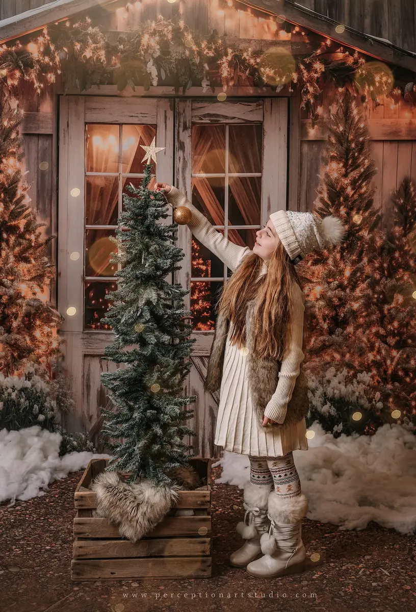 Kate Christmas Barn Lights Tree Fleece Backdrop Designed by Emetselch - Image 6