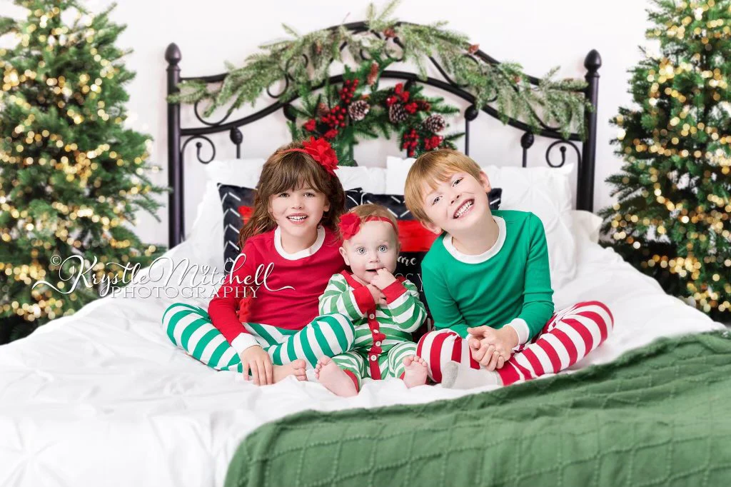 Kate Christmas Headboard Bed Backdrop Designed by Emetselch - Image 3