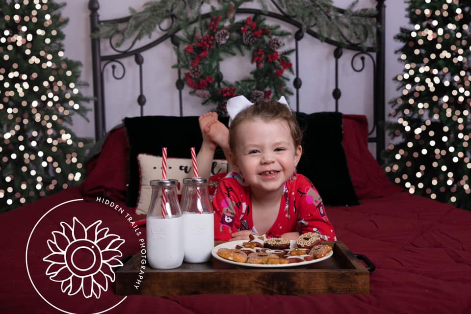 Kate Christmas Headboard Bed Backdrop Designed by Emetselch - Image 6