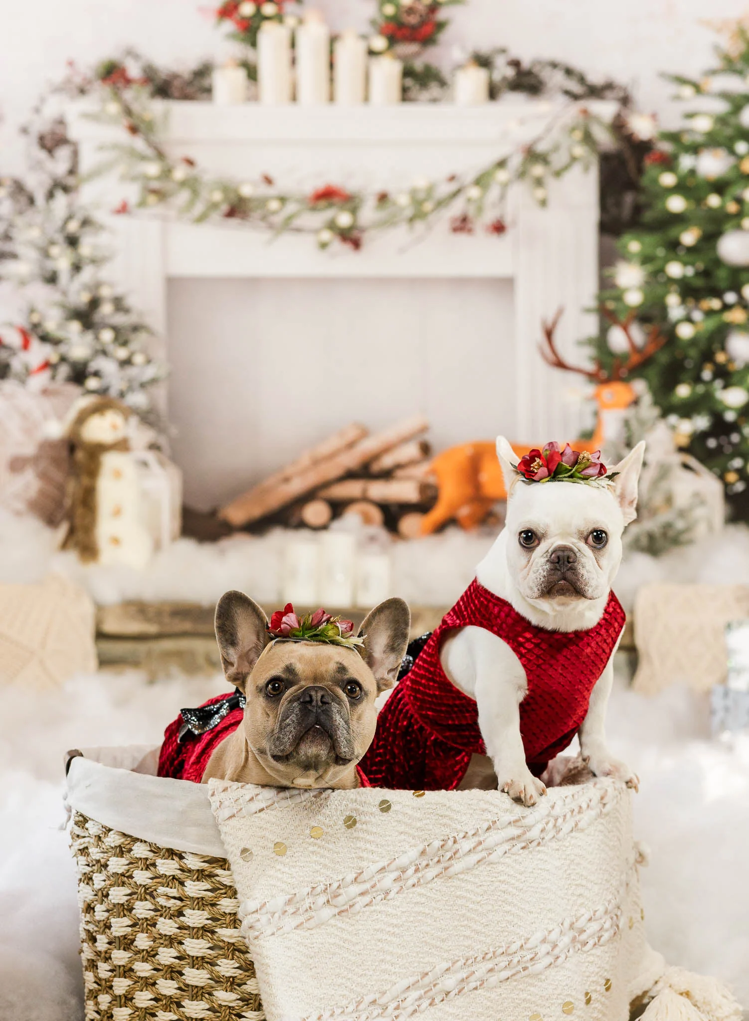 Kate Christmas Boho Fireplace Elk Backdrop Designed by Emetselch - Image 14