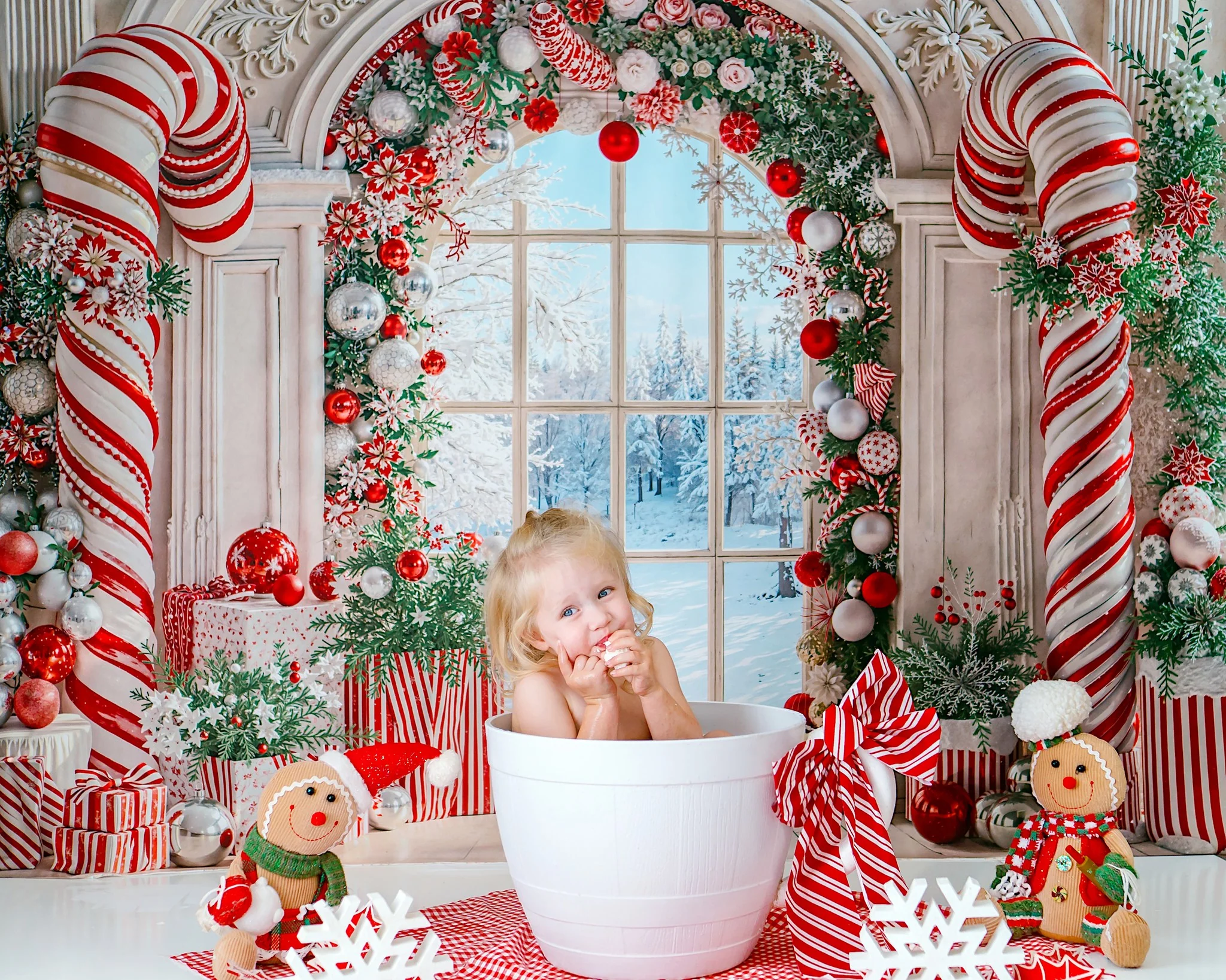 Kate Christmas Candy Cane Arched Window Backdrop Designed by Emetselch - Image 3