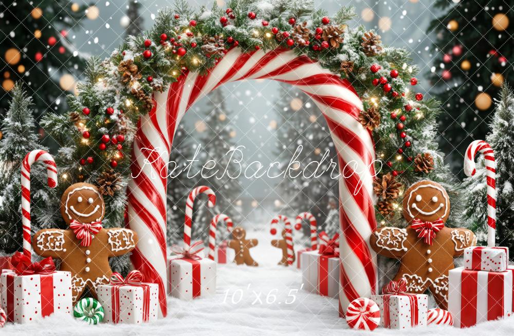 Kate Christmas Candy Cane Gingerbread Gift Backdrop Designed by Emetselch - Image 10