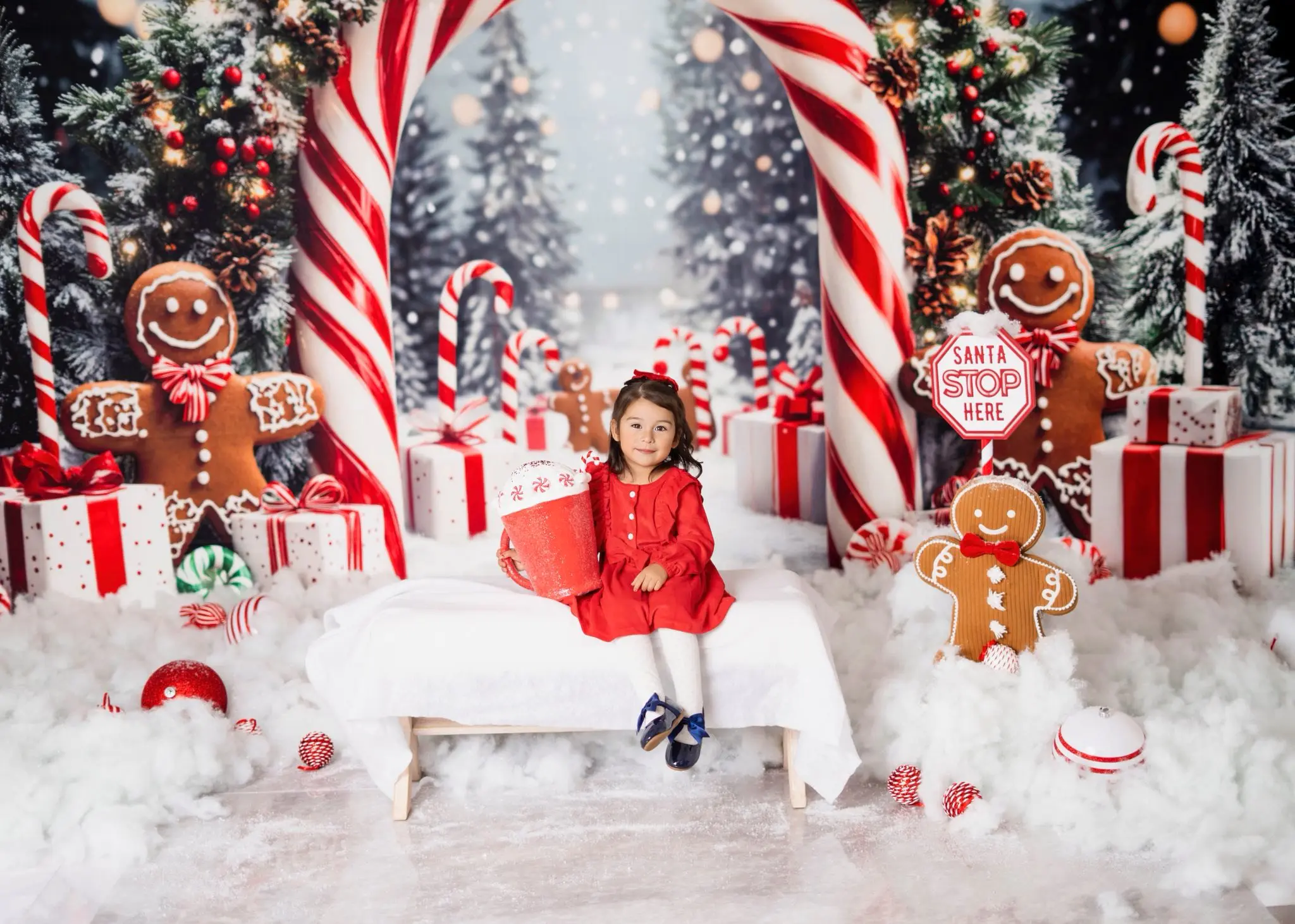 Kate Christmas Candy Cane Gingerbread Gift Backdrop Designed by Emetselch - Image 3