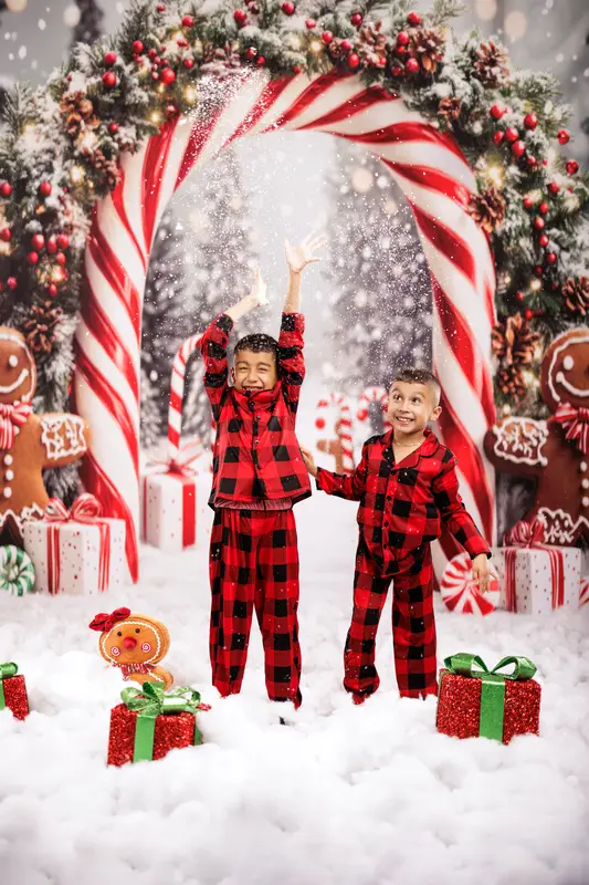 Kate Christmas Candy Cane Gingerbread Gift Backdrop Designed by Emetselch - Image 4