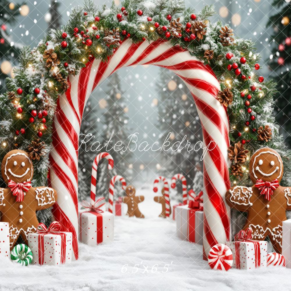 Kate Christmas Candy Cane Gingerbread Gift Backdrop Designed by Emetselch - Image 5
