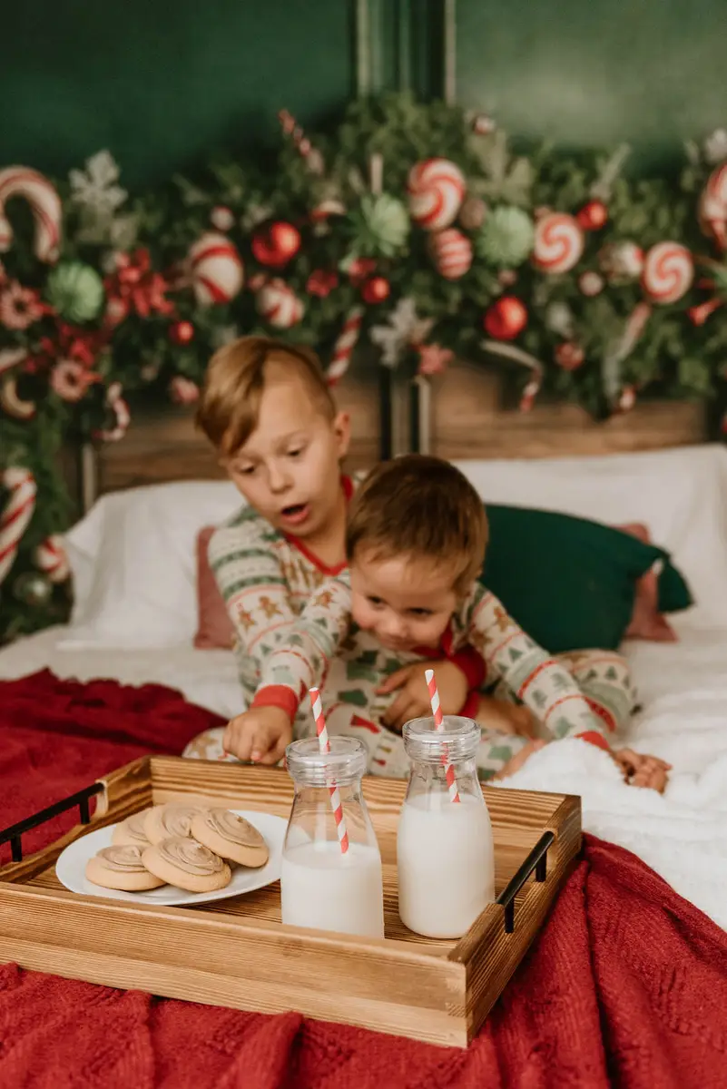 Kate Christmas Candy Cane Headboard Fleece Backdrop Designed by Mandy Ringe Photography - Image 3