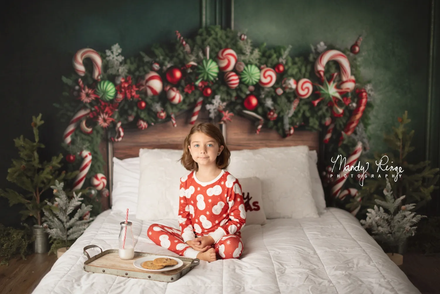 Kate Christmas Candy Cane Headboard Fleece Backdrop Designed by Mandy Ringe Photography - Image 5