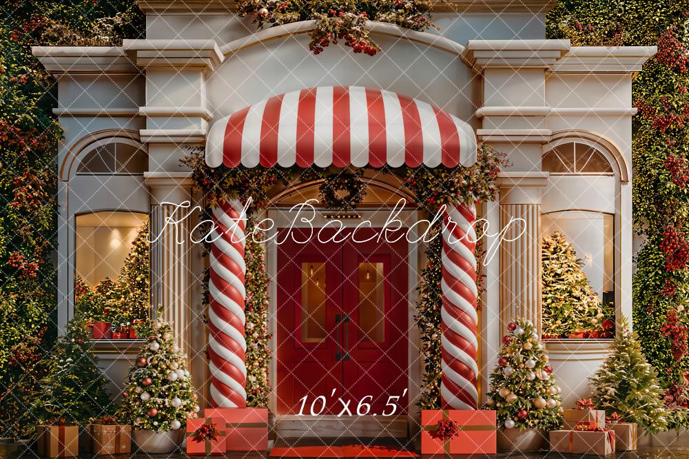 Kate Christmas Candy Cane Red Door Fleece Backdrop Designed by Emetselch - Image 2