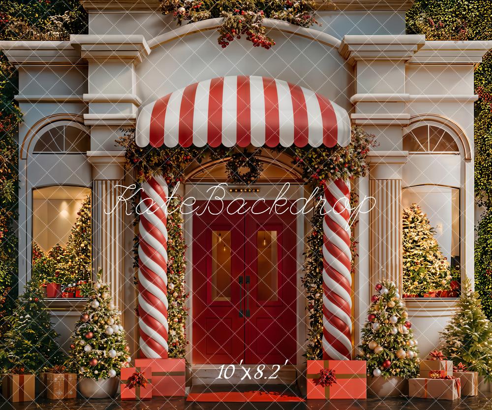 Kate Christmas Candy Cane Red Door Fleece Backdrop Designed by Emetselch - Image 3