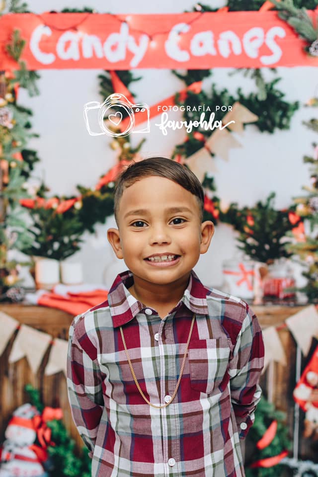 Kate Christmas Candy Canes with Decorations Backdrop for Photography - Image 5