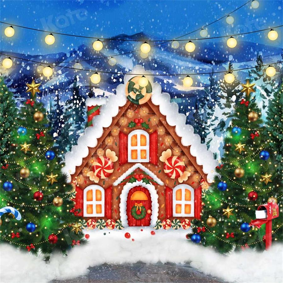 Kate Christmas Candy House Backdrop for Photography - Image 2