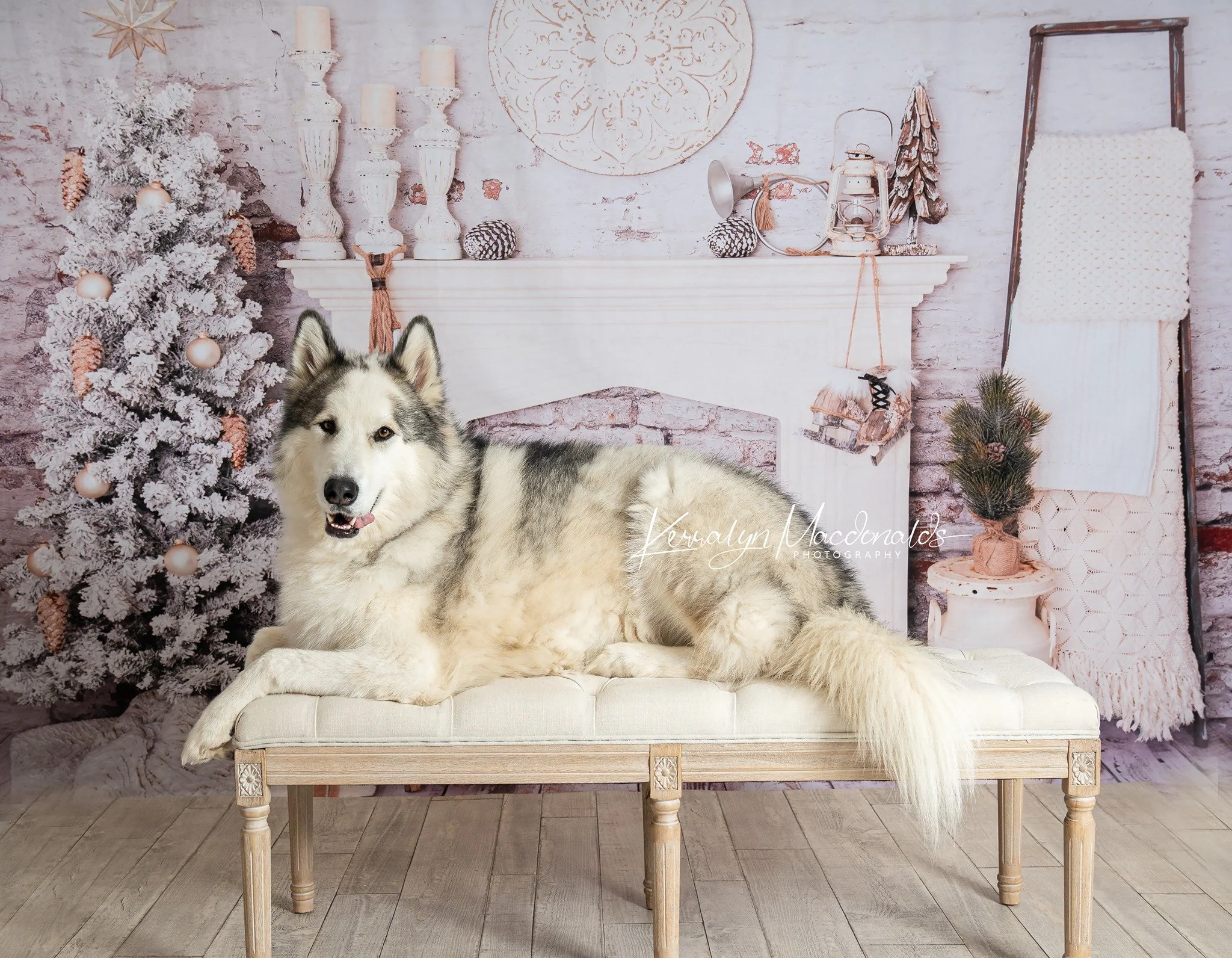 Kate Christmas Decorations Brick Room Backdrop Designed By Pine Park Collection - Image 4